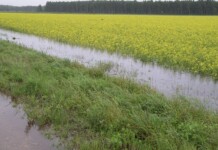 Žemės ūkio vandentvarkai – beveik 24 mln. eurų