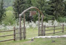 Tauragnuose E. Šimkūnaitės darbus įprasmins išskirtiniai atminimo ženklai