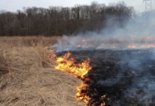 Dėl padegtos žolės per parą sudegė 12 pastatų