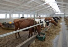 Pieno gamintojams – valstybės pagalba