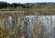 Nurimęs Šarkių kaimas saugo ir šiurpius, ir mielus prisiminimus (VI)
