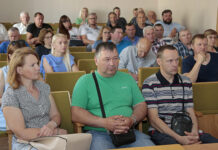 Konsultavimo paslaugos kaime – abipusė nauda