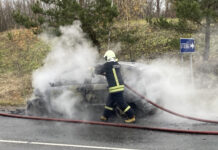 Aplinkkelyje sudegė lengvasis automobilis