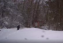 Gaisre nukentėjusį žmogų iki medikų teko gabenti arklio tempiamomis rogėmis