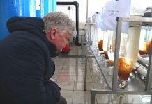 Vandens tvenkinius papildo milijonai įvairių rūšių žuvų