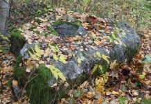 Įkalintuose Rašės vandenyse paskendę plevėsuojantys Lunkų plaukai