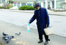 Su paukščiais susikalbantis uteniškis: „Jie žino, kurioje laiptinėje gyvenu“