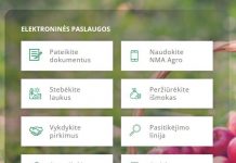 Šiemet paraiškas NMA bus galima pateikti greičiau ir paprasčiau