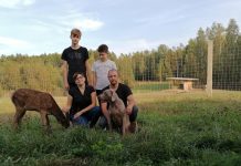 Žvakių ir elnių užburti kūrėjai savo laimę atrado Nolėnuose