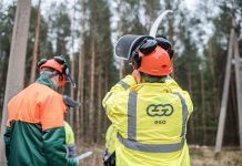 ESO primena: gyventojai atsakingi už jų žemėje šalia elektros linijų augančių medžių priežiūrą