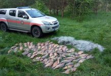 Tobulėjantys pažeidėjai nuo aplinkosaugininkų neapsisaugojo: gresia milžiniška bauda