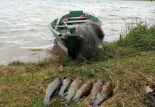 Gudrauti bandęs žvejys galiausiai įkliuvo su tinklais