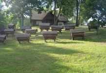 Kviečia dūzgiantis bitininkystės muziejus