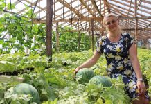 Egzotiniais vaisiais mėgaujasi ne tik augintojai, bet ir pirkėjai