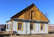 Smėlis skrandyje, išakėtas mirusiųjų miestas, vogtas medis ir kaip baklaškos gyvybę išgelbėjo