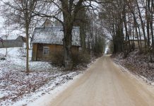 Neišbrendama kelių būza, muzika karvėms, akmens lobiai, išniekinti kapai ir kodėl pasėtos sėklos sudygdavo kaimyno sklype