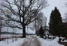 Išdusę lydžiai, žuvęs dėl pavydo kulkos ir kodėl kolchozo burokai netapo lapais