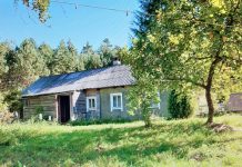 Peršviečiami obuoliai, motina, įkalinta bušlate, ir kaip vaikai tapo tarybų valdžios priešais