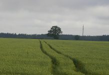 Prasidėjo paraiškų priėmimas ES paramai gauti
