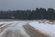 Apie paslaptimi apipintą giminės pratęsimą, durpyne nuskendusį arklį ir saugomą palikimą