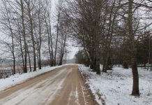 Skaudžios patirtys ir gyvenimo kelio vingiai, pasukę gimtųjų Šeimyniškių kryptimi
