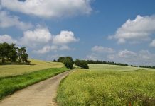 Ką verta žinoti artėjant žemės ūkio naudmenų ir pasėlių deklaravimui?