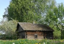 Parubežiniai iš Pabriedžių vienkiemio, iš piktumo supleškinta sodyba, raudonburnės cypiančios žuvys ir apgraužti arklių groblai