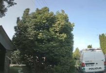 Iš namų dingęs mažametis buvo rastas pelkėje