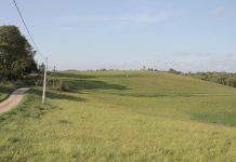 Mūrinių lagerių vienuma, vėžiai po Pagriaumėlos šaknimis, velnio antspaudas akmenyje ir nepasiekiama žmona