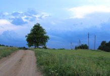 Erškėtrožėmis išpintas sostas, apkartę Voverienės „bajbajai“, pievoje besivartančios lydekos ir ką mokytoja veikė tualete