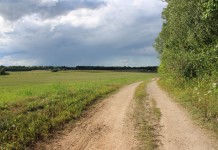 Užsispyręs Stabulankių milžinas, išvelėti „katinų“ kailiai, užpakalyje paslėptas auksas ir lietuviai, nepadarę raudonosios revoliucijos tėvynėje