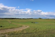 Ne vietoje pasipainiojęs mokytojas, ugninis ratas aplink kojas, šiurpu per kūną einančios giesmės ir ar gali dūdos prikelti nudvėsusią mešką