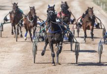 „Derby“ ir „Kriterium“ finale 8 ristūnai žirgai pagerino savo rezultatus