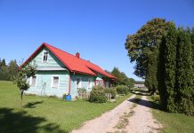 Po vieškeliu pakištos kapinės, susektas kraujo pėdsakas, rudų kasų mergaitės raistas ir ko siekė apsimetėliai miškiniai