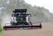 Ūkininkams galvos skausmą kelia ne tik prasti orai, bet ir įvežtinis derlius iš Ukrainos