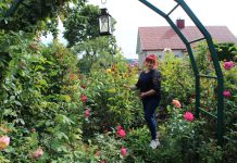 Rožes dievinanti S. Kalinauskienė: „Esu priklausoma nuo šių gėlių“