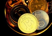 Išankstinis Meme Kombat kriptovaliutų išpardavimas jau sulaukė virš $100 000 – tai kita Pepe ar Dogecoin?