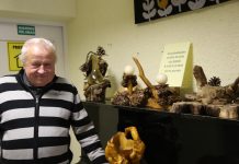 Darbščios A. Kamliausko rankos kuria stebuklų karalystę iš medžio
