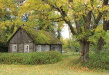 Vienalangio namo asloje žybsinti balana, duobėta asla ir septyni kuparai grūdų