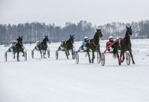 Sartuose skries ristūnai, laukia turininga programa