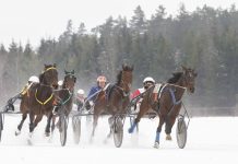 Sartuose rungsis 38 ristūnai žirgai, bus apdovanoti 2023 metų ristūnų sporto lyderiai
