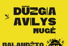 Balandžio 20-ą į Uteną atvyksta amatininkus ir tautodailininkus suburianti mugė DŪZGIA AVILYS
