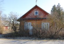 Vaikų ašarų upė, kraujyje tekantis žalumas, skilundžiai Kavoliūno aukštinyje ir kodėl reikėjo saugoti senąsias ežias