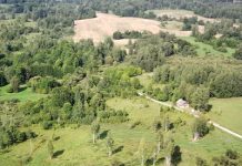 1897 m. gyventojų surašymo atgarsiai Utenos krašte – Žibėčiai