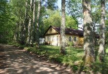 Pilnas kvartukas raudonikių, pirma ir paskutinė meilė ir ar lengva nugriauti gimtuosius namus