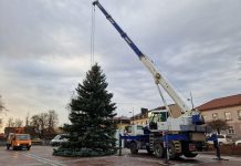 Į Utenio aikštę atkeliavusi Kalėdų puošmena – uteniškės dovana miestui