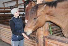 Uteniškės meilė žirgams prasidėjo nuo arkliukų kolekcijos