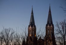 Nuo lietuviškų orchidėjų paieškų iki garsų maudynių: ką šį šeštadienį žada Anykščiai?