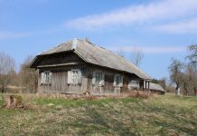 Saldainių ir šampano uždirbęs arklys, dilgėlėtas pakaruoklio kapas, nuogalių spąstai lydekaičiokams ir kodėl mergos šokdavo pro langus