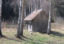 Priverti špekuliantės nagai, plentas, nutiestas kastuvu, šventas „vado“ vardas ir kur pradingo laisvė bei mėsa